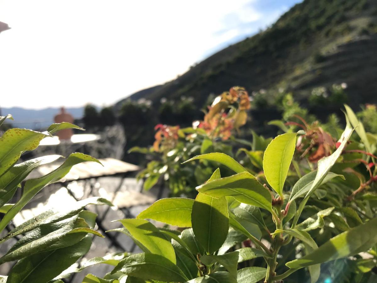Borgo Manca Suite Sasso di Castalda Eksteriør bilde